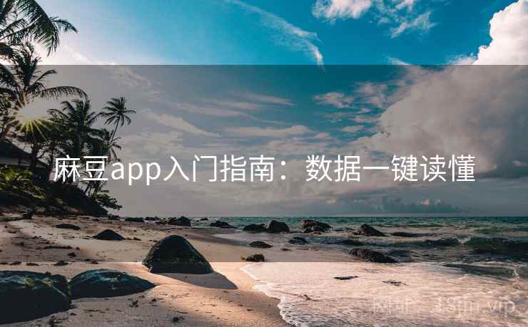 麻豆app入门指南：数据一键读懂