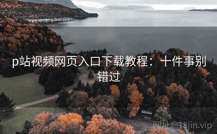 p站视频网页入口下载教程：十件事别错过