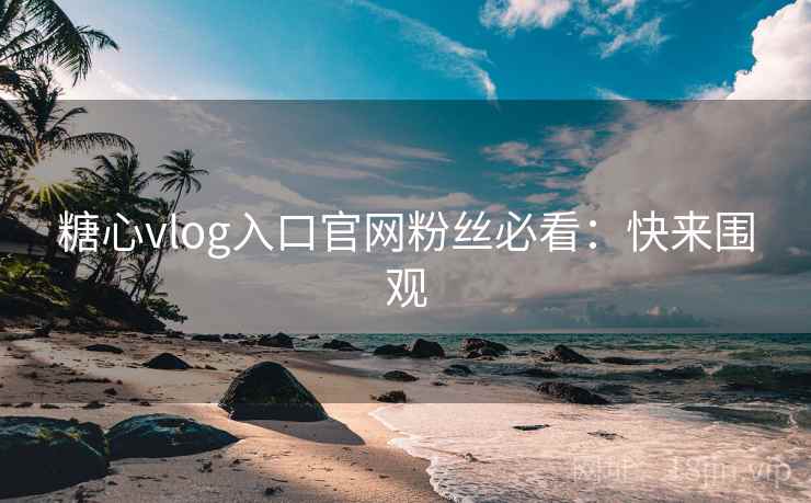 糖心vlog入口官网粉丝必看：快来围观