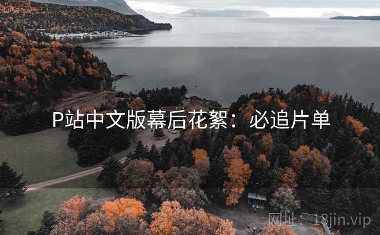 P站中文版幕后花絮：必追片单